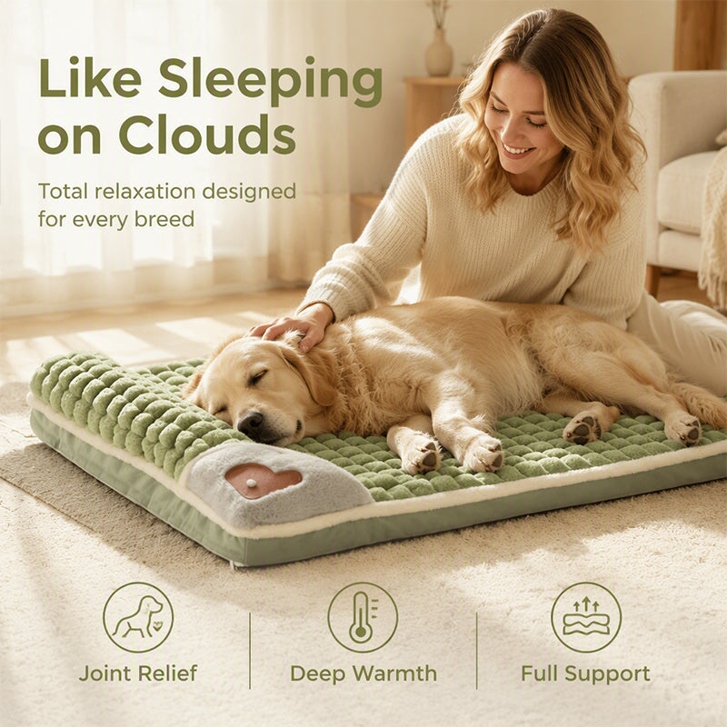 🛌✨ Niche/Tapis pour Chiens & Chats en Peluche Premium🐶🐱 – Soutien Orthopédique, Velours Ultra-Doux, Bord Relevé Ergonomique – Tailles M–4XL, 3 Couleurs 🐾☁️