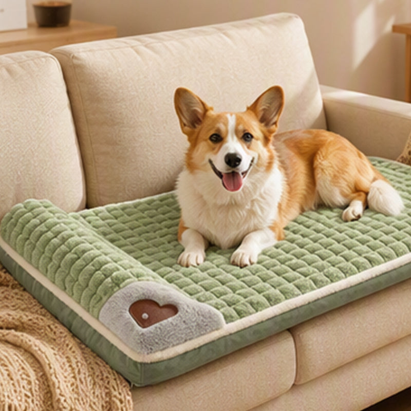 🛌✨ Niche/Tapis pour Chiens & Chats en Peluche Premium🐶🐱 – Soutien Orthopédique, Velours Ultra-Doux, Bord Relevé Ergonomique – Tailles M–4XL, 3 Couleurs 🐾☁️