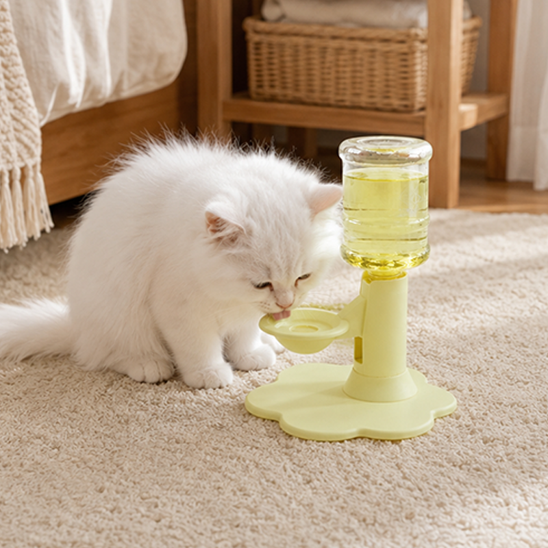 🐱 Fontaine à eau pour chats à hauteur réglable | 💧 Recharge automatique par gravité avec protection anti-éclaboussures | 🏠 Hydratation saine pour chatons et chats adultes | 📏 Capacité 650ml en 4 couleurs